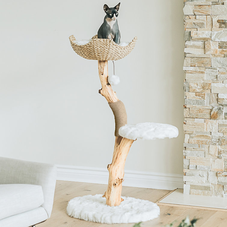 Wayfair cat shop tree canada